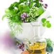 Thyme & Olive Leaf Fragrance Oil Online Hot Sale