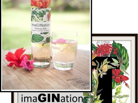 ImaGINation  - Hibiscus Rose 500 mls Online now