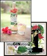 ImaGINation  - Hibiscus Rose 500 mls Online now