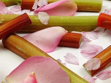 Pink Orchid & Rhubarb Fragrance Oil Online