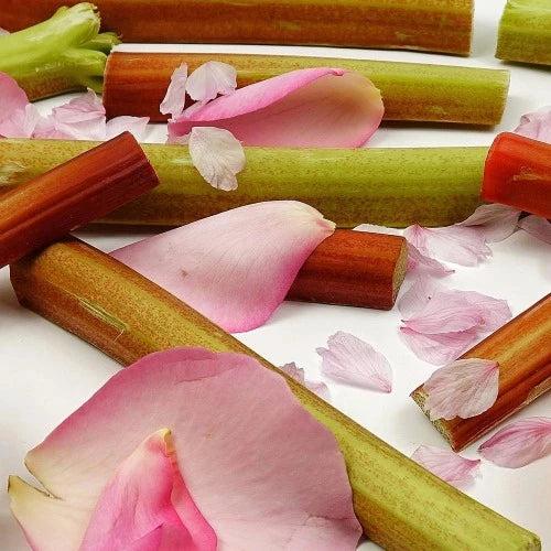 Pink Orchid & Rhubarb Fragrance Oil Online