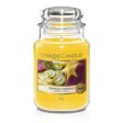 Tropical Starfruit Fragrance Oil Online