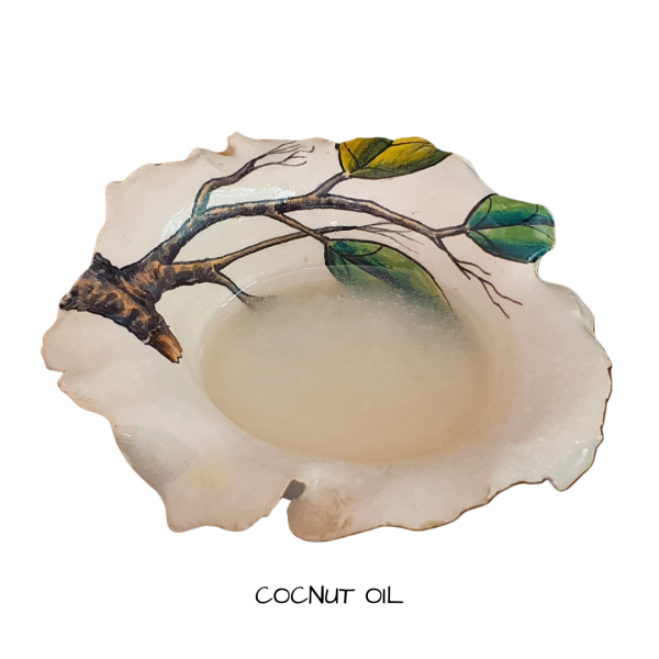 Coconut Oil  Refined 1 Litre Hot on Sale