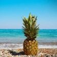 Maui Pineapple Fragrance Oil Discount