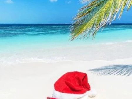 Beach Side Christmas Fragrance Oil Online