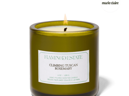 CLIMBING TUSCAN ROSEMARY CANDLE Cheap