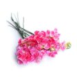 Sweet Pea Fragrance Oil Hot on Sale