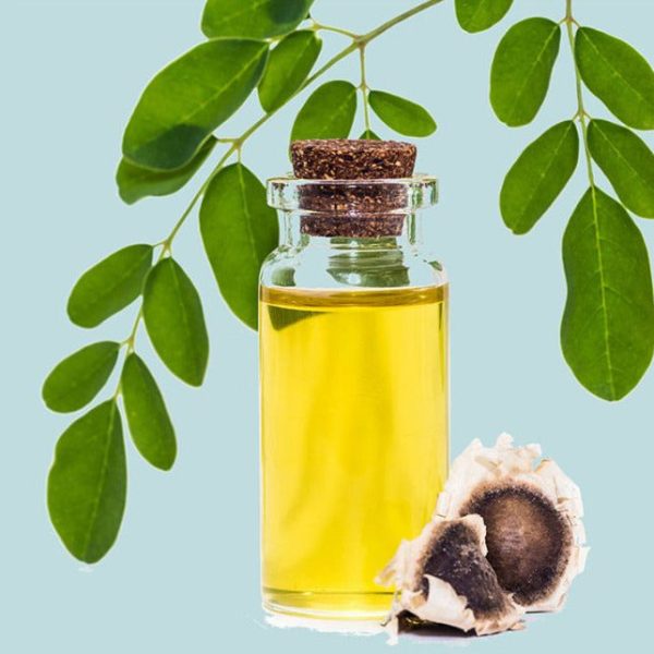 Moringa Oil 50 mls For Discount