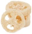 Loofah Hot on Sale