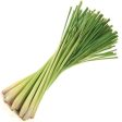 Dried Herbs- Lemongrass 50 grm Sale