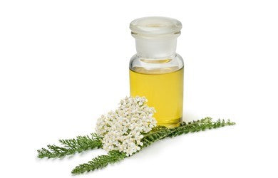 Yarrow Oil 50 mls Sale