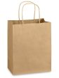 Brown Paper bag Medium For Cheap