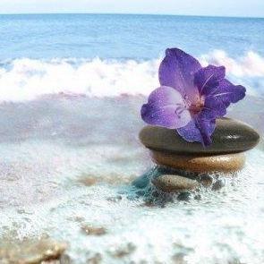 Island Spa Fragrance Oil Online now