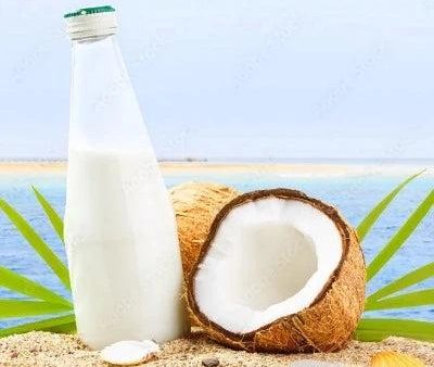 Beachy Coconut Milk Fragrance Oil Online