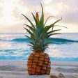 Pineapple Driftwood Fragrance Oil Online