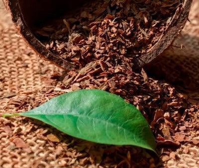 Havana Tobacco Fragrance Oil Discount