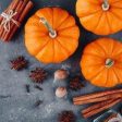 Sweet Cinnamon Pumpkin Fragrance Oil Online Sale