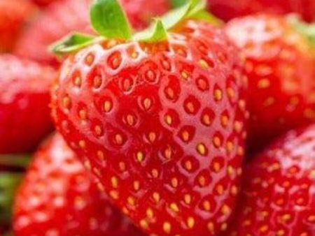 Strawberry Fragrance Oil For Sale