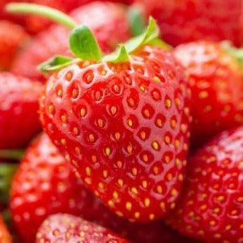 Strawberry Fragrance Oil For Sale