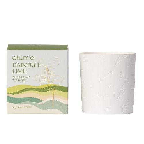 Daintree Lime Soy Candle Supply