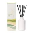 Daintree Lime Reed Diffusers Sale