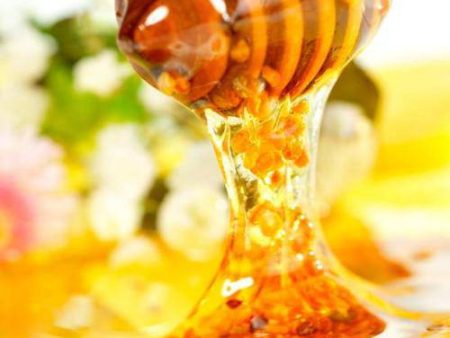 Honey Fragrance Oil Online