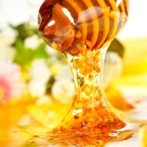 Honey Fragrance Oil Online