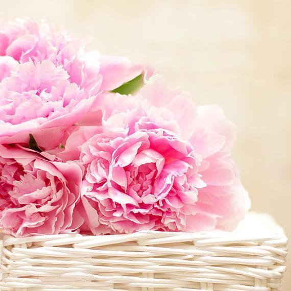 Pink Peony Fragrance Oil For Sale