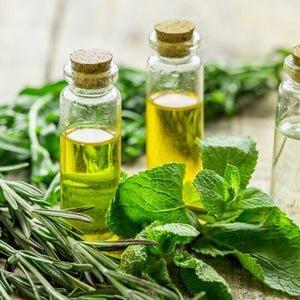 Rosemary & Mint Fragrance Oil Online Hot Sale