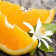 Tropical Orange Blossom Fragrance Oil Hot on Sale