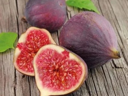 Fig & Cashmere Fragrance Oil Online Sale