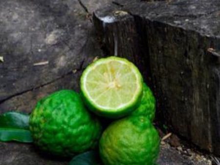 Bergamot Fragrance Oil Online Sale