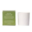 Daintree Lime Soy Candle Supply